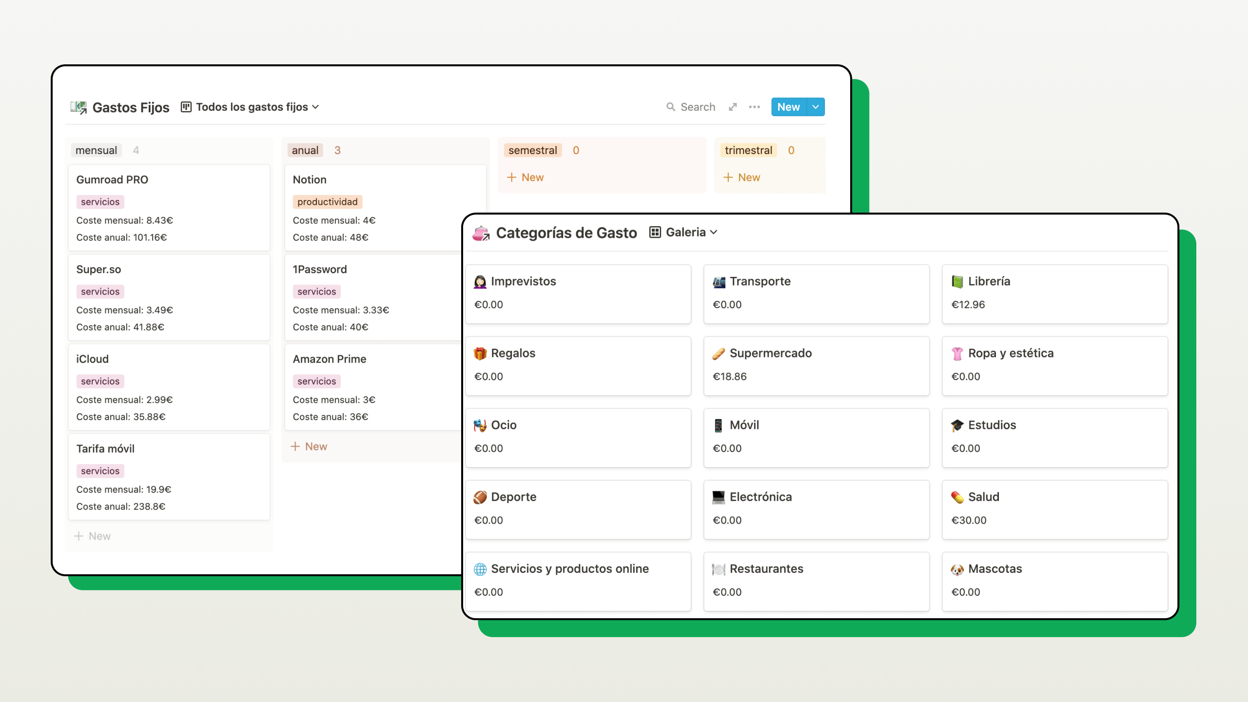 Vista del sistema de control de gastos
