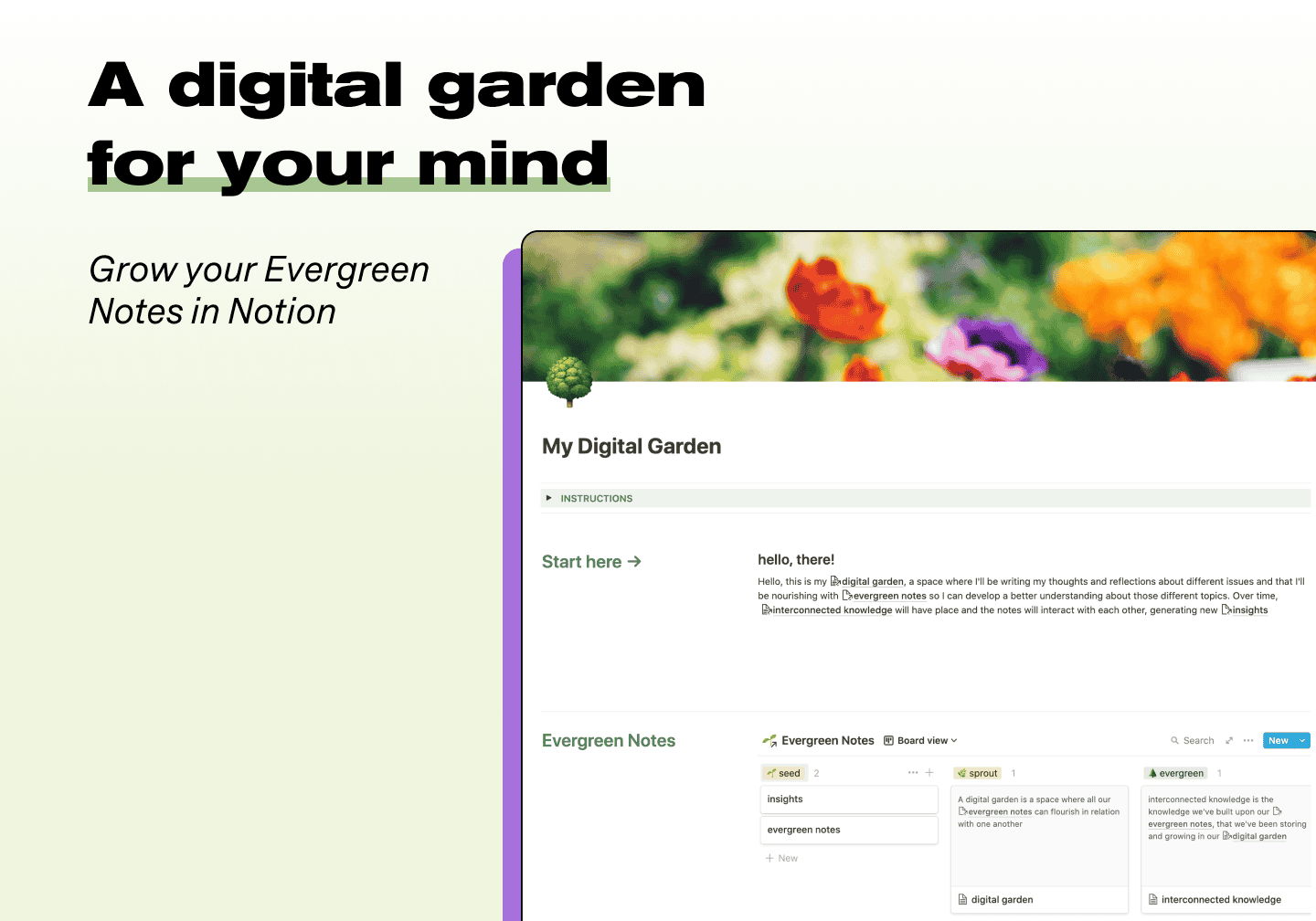 Digital Garden